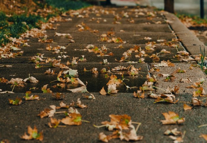 Everything to Know About Sidewalks