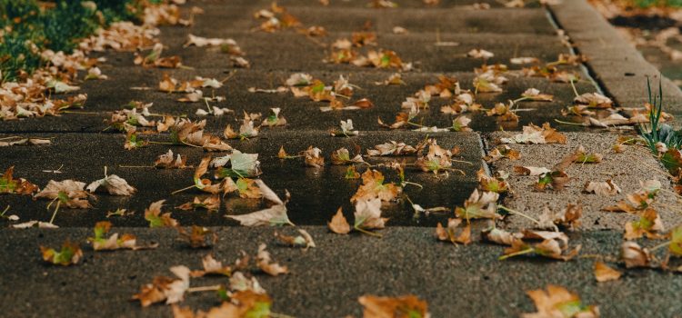 Everything to Know About Sidewalks